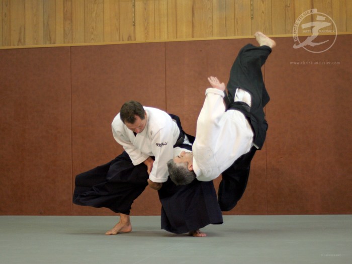 christianTissierAikido-05